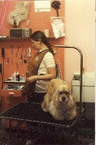New Hope Pet Center History - Sue Grooming 1